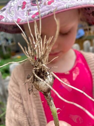 Woden Valley Early Learning Centre