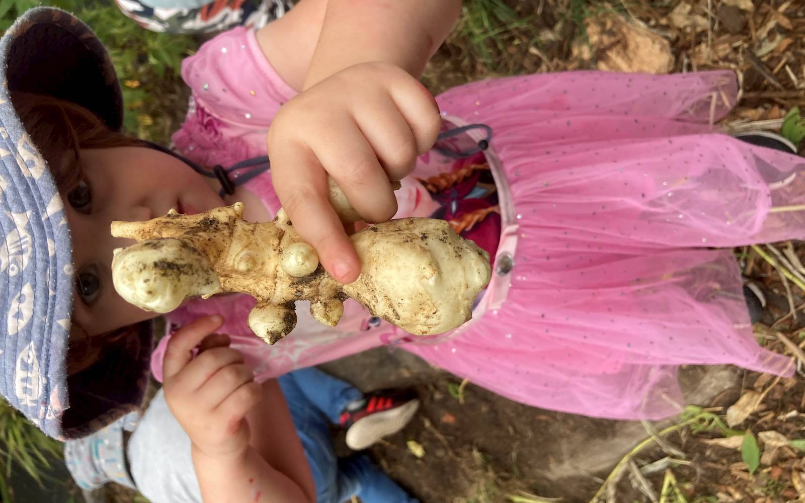 Woden Valley Early Learning Centre