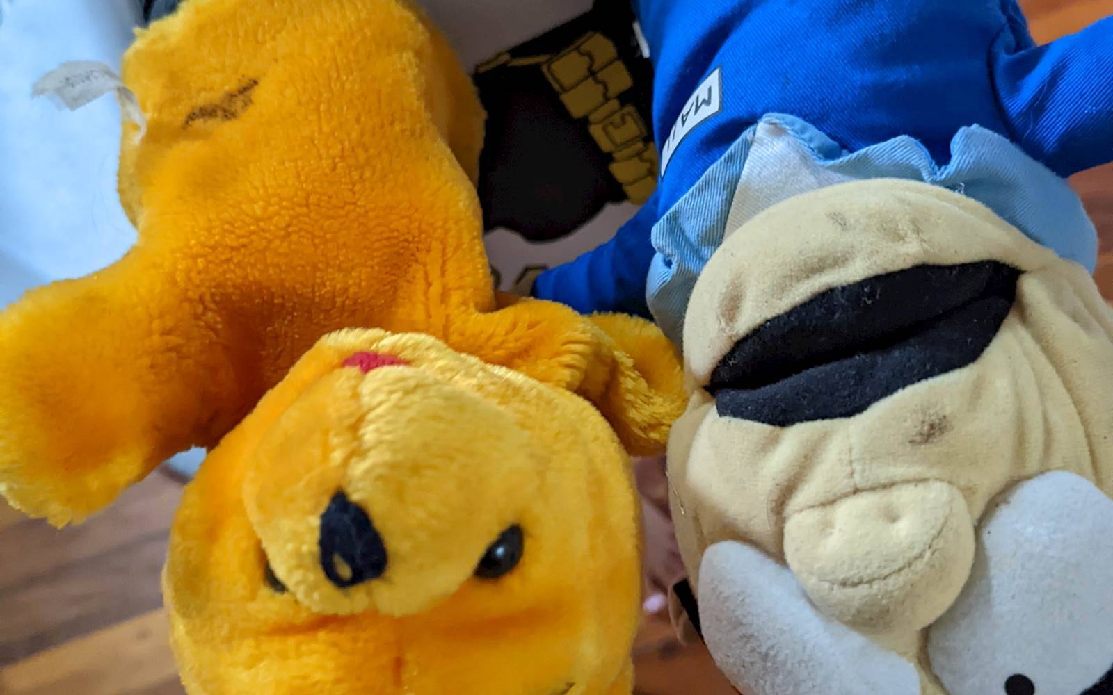 Rae's Family Day Care