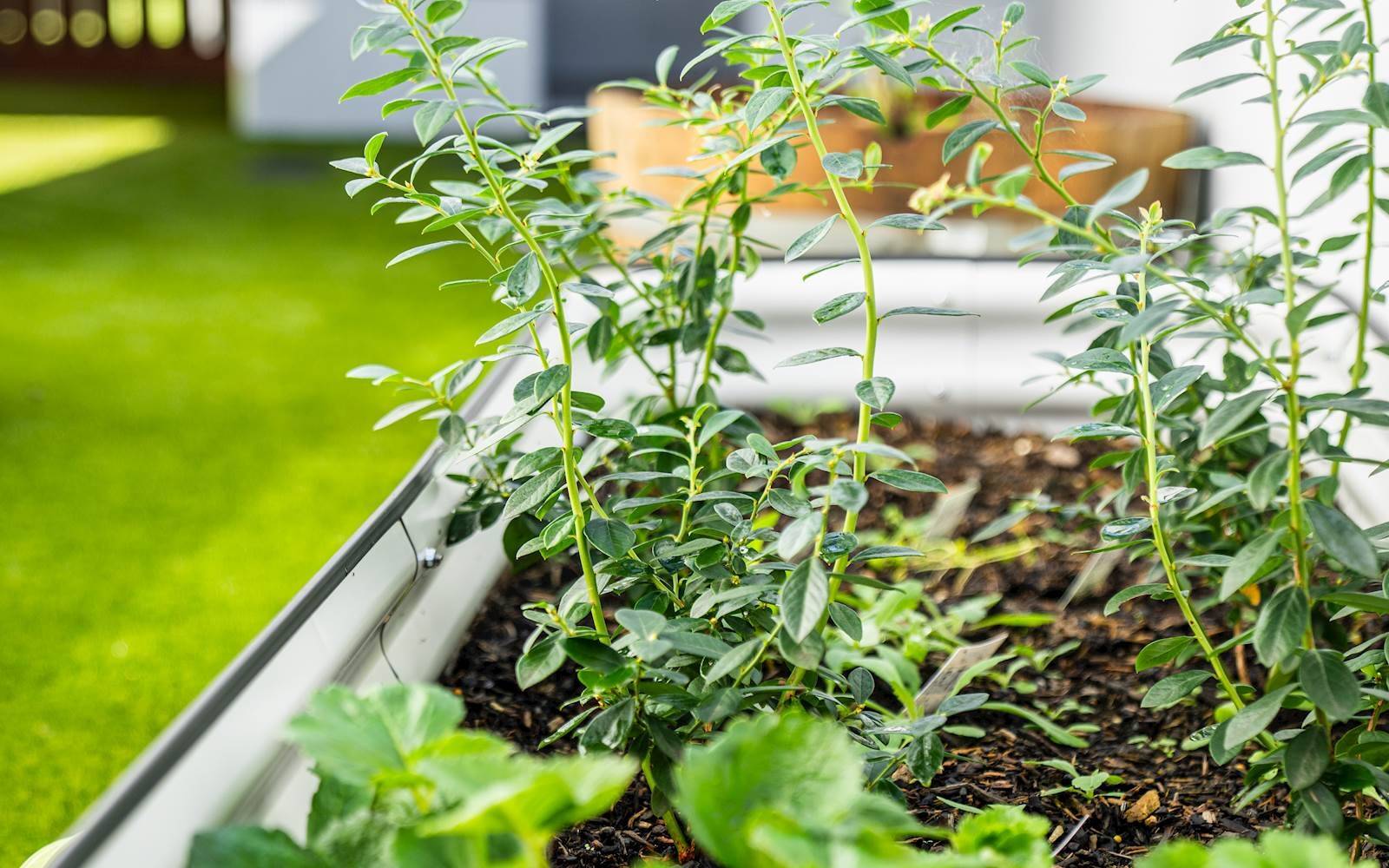 Young Academics Early Learning Centre - Hoxton Park