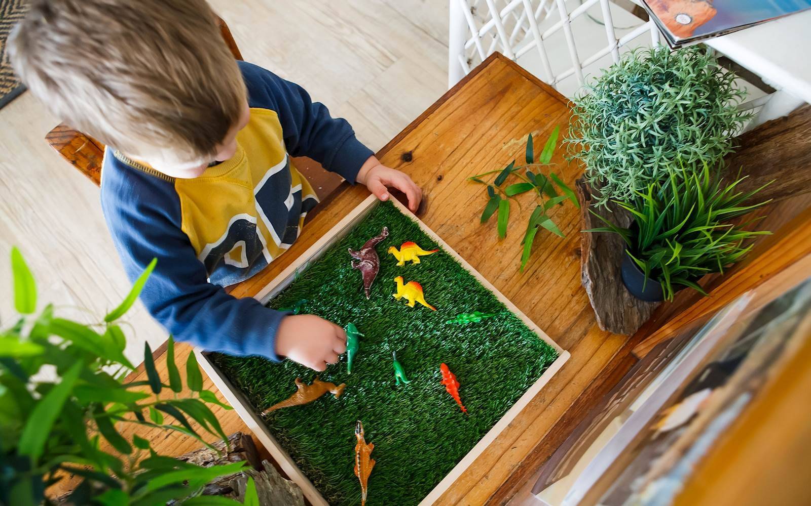 Developing Dreams Early Learning Chain Valley Bay