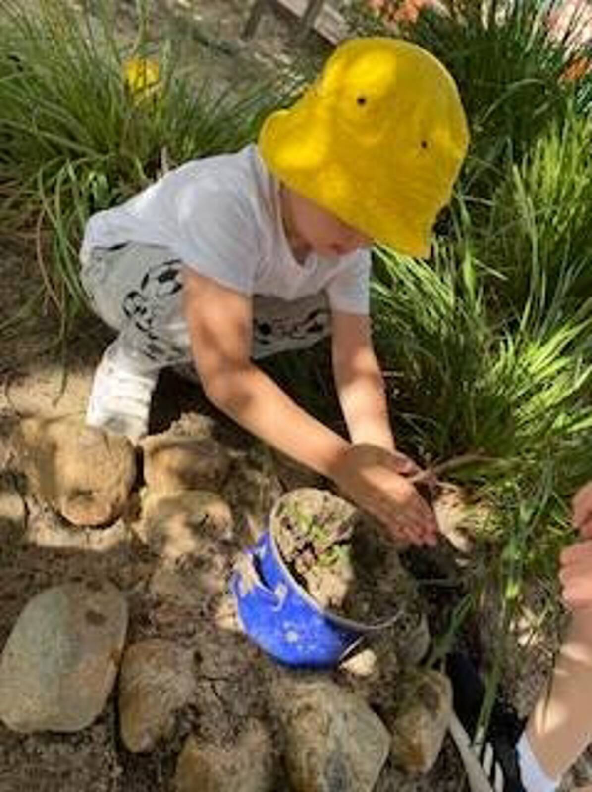 C&K Coomera Springs Community Kindergarten