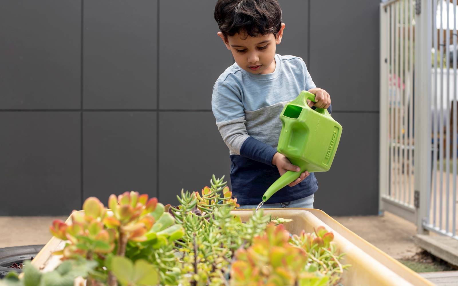 Caroline Springs Child Care and Kindergarten