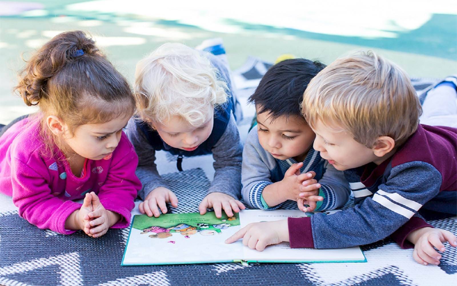 Little Pines Early Childhood Education & Care