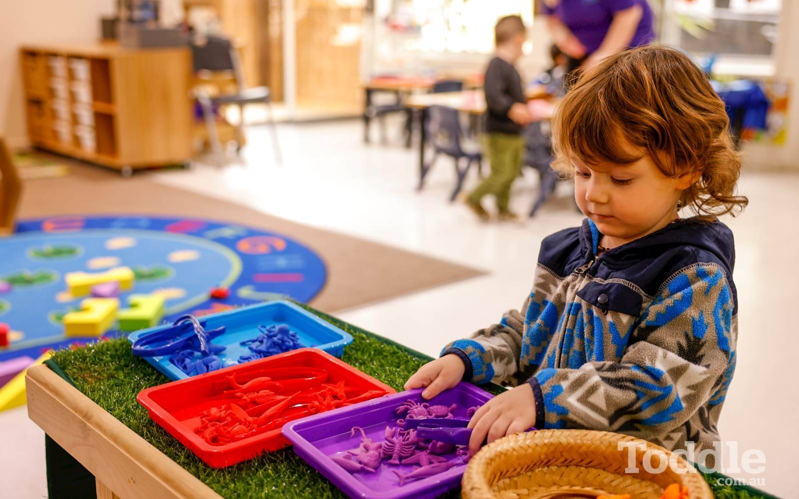 Oppia Wantirna South