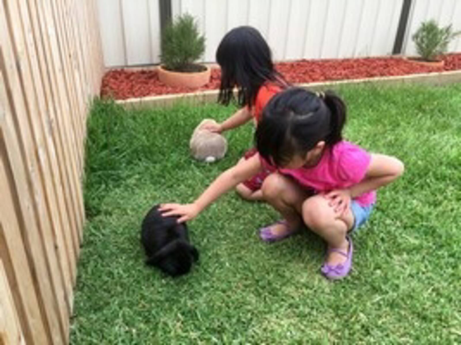 Kim Nguyen Family Day Care