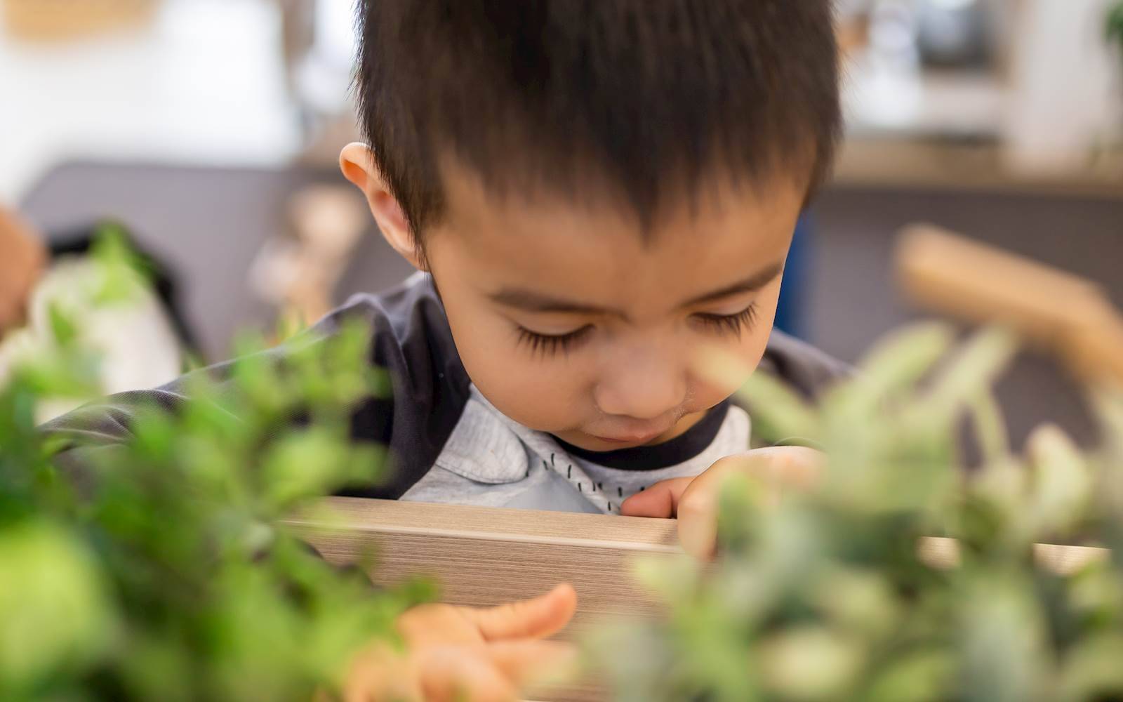 Busy Bees at Burpengary East