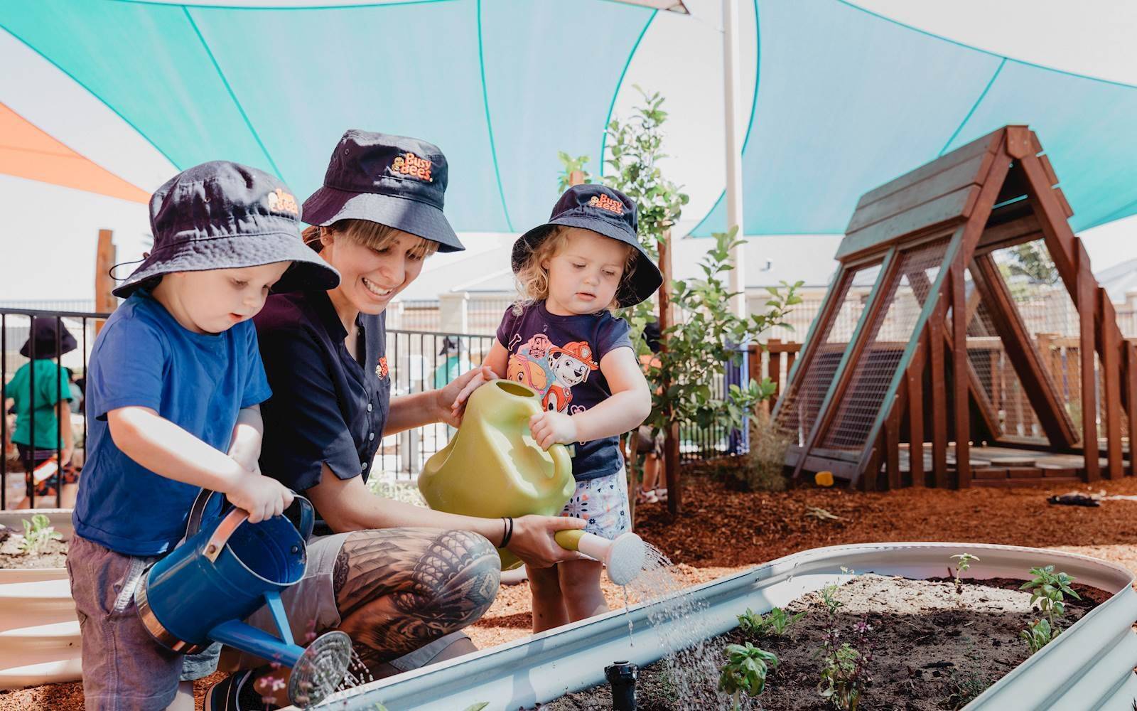 Busy Bees at Quinns Beach