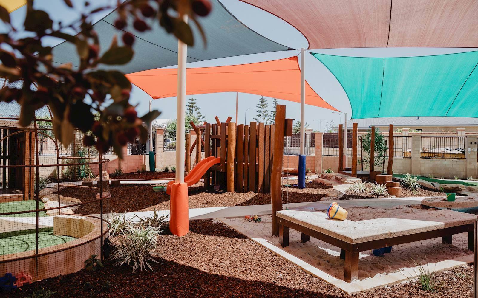 Busy Bees at Quinns Beach