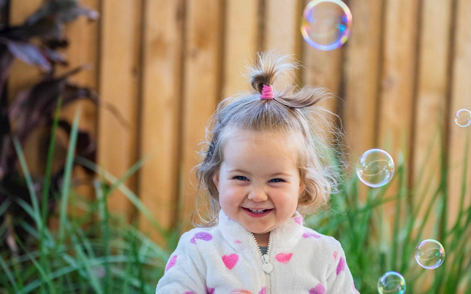 Busy Bees at Warwick