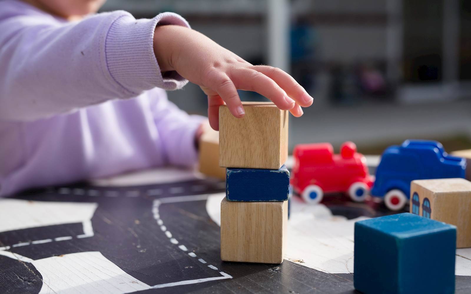 Busy Bees at Wellard