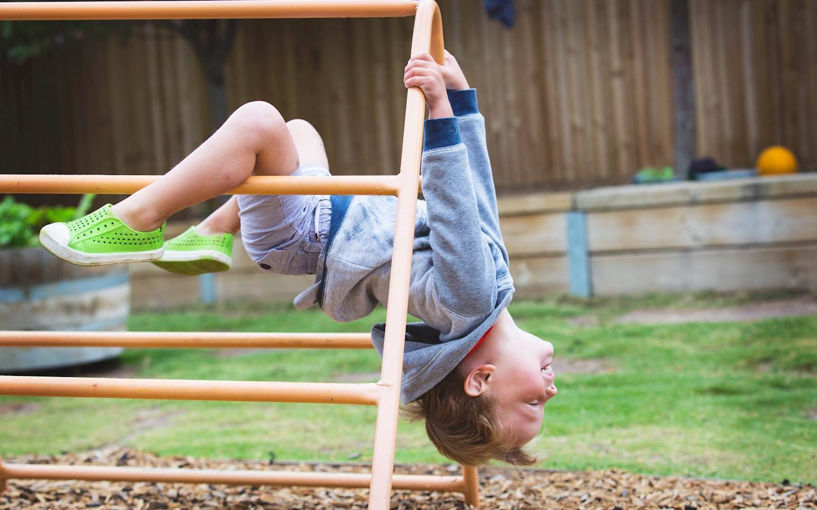 Busy Bees at Belmont