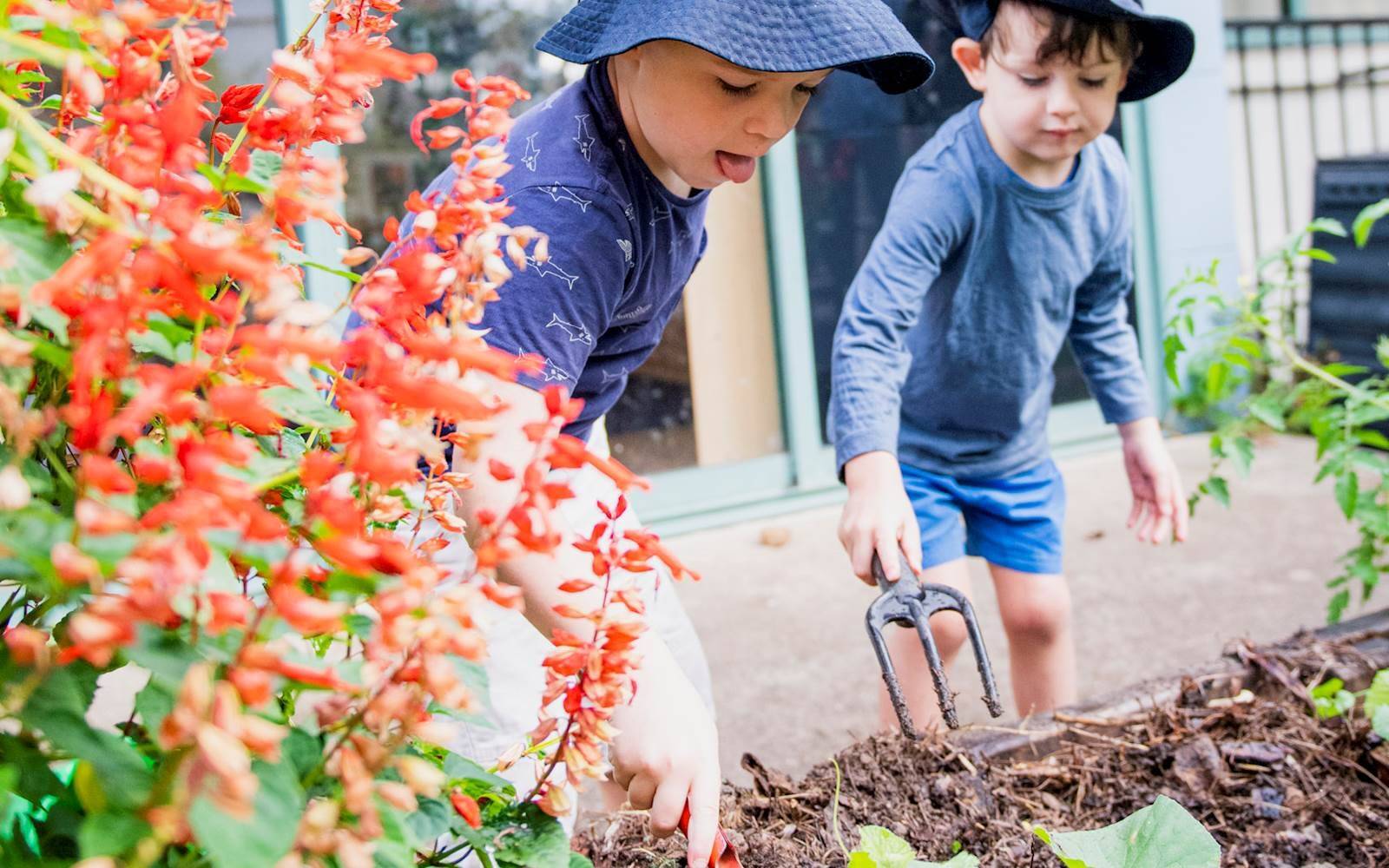 Springbank Rise by Busy Bees