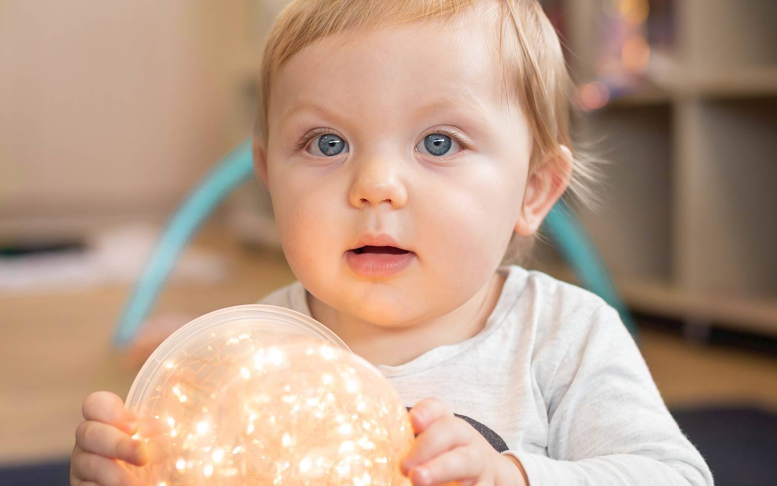 Busy Bees at Armstrong Creek