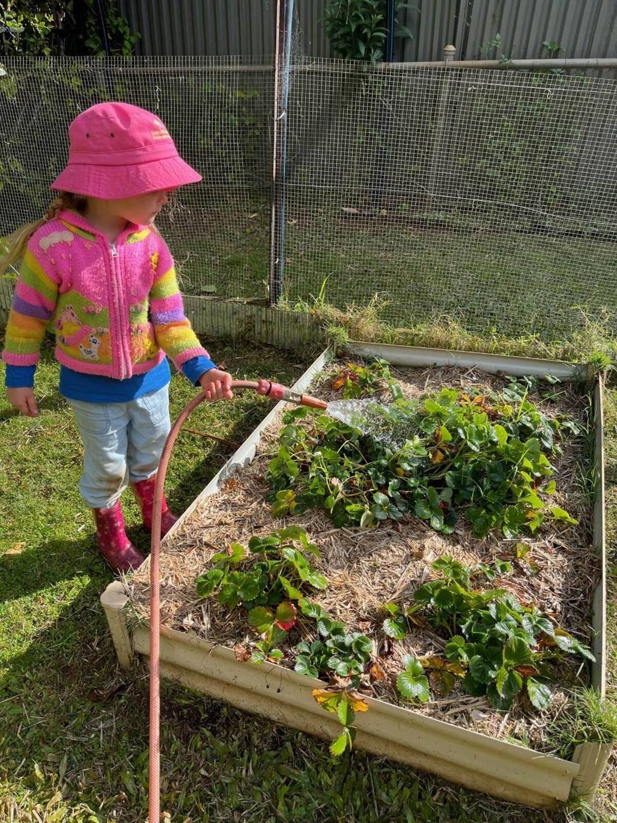 Tamborine Mountain Community Kindergarten