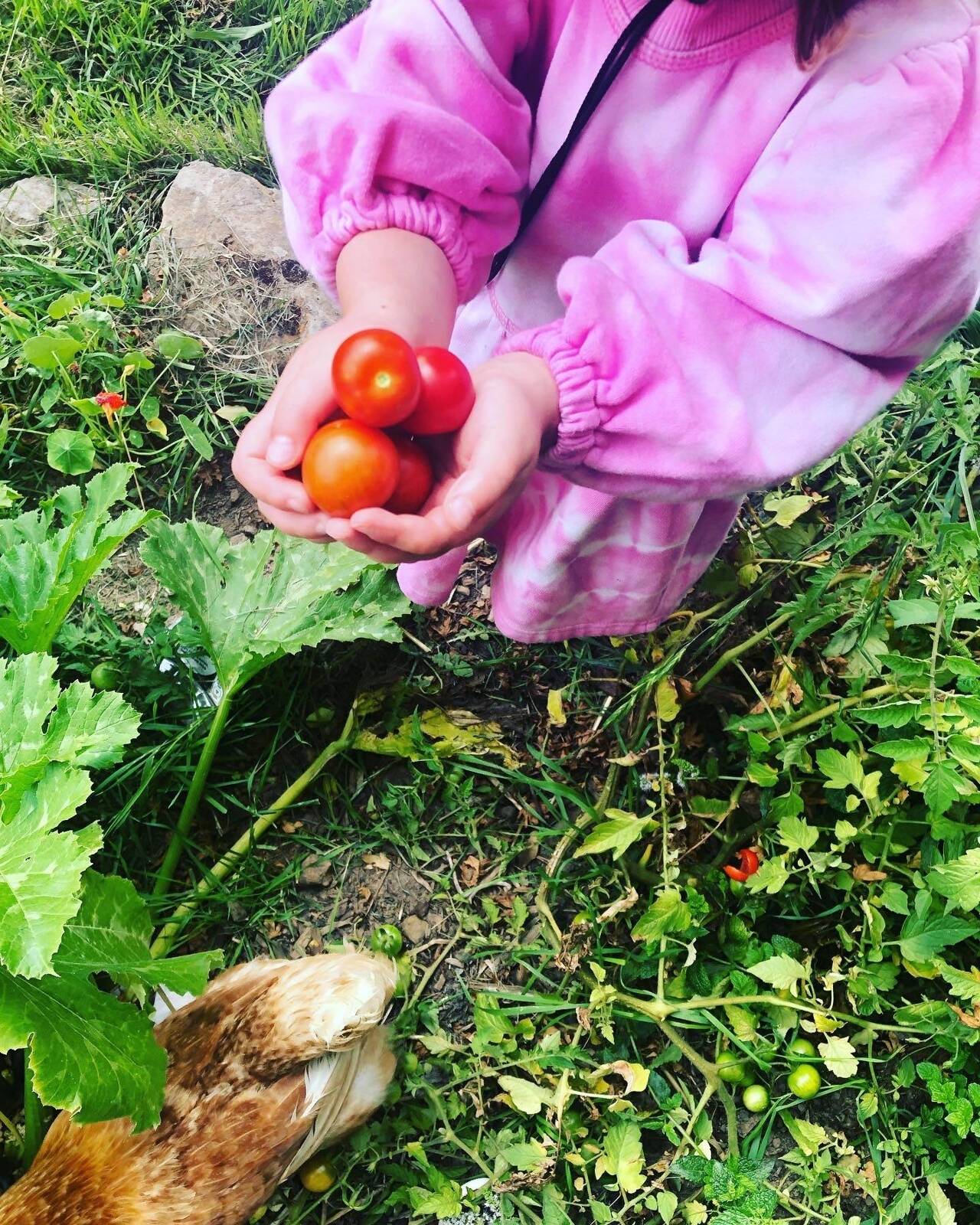 Little Poppet's Rainbow Family Day Care