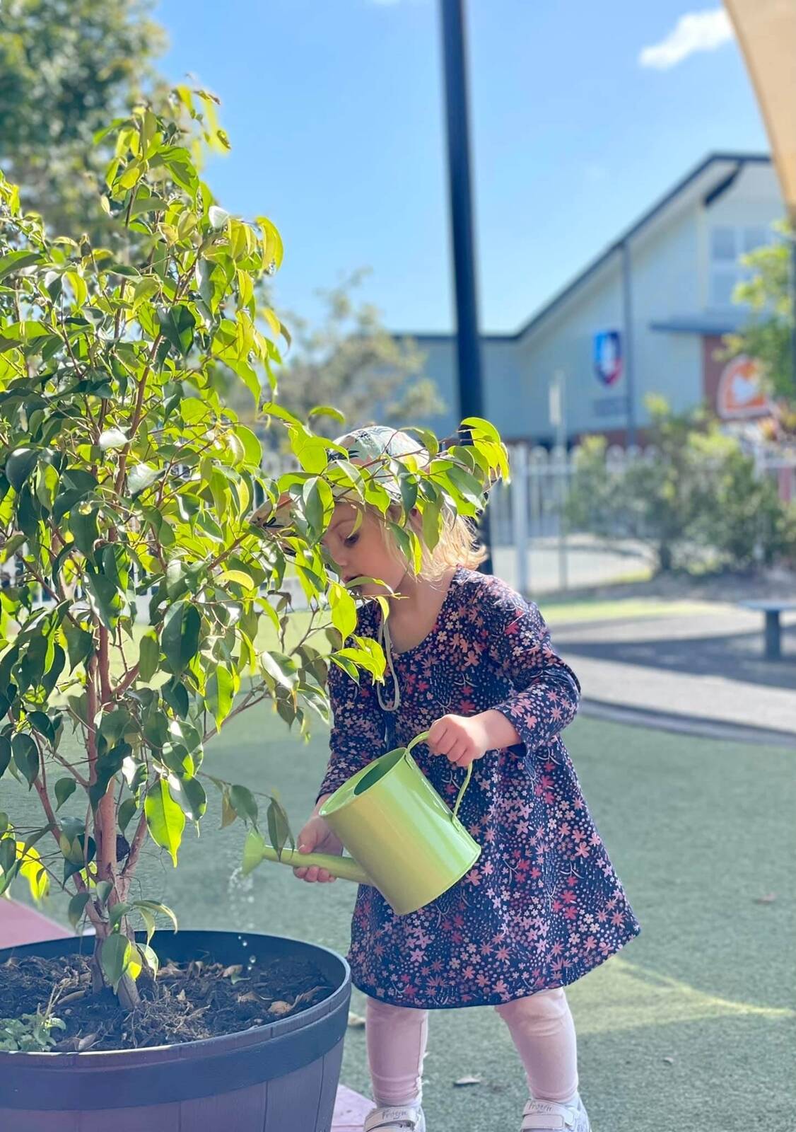Pelican's Nest Early Learning Centre