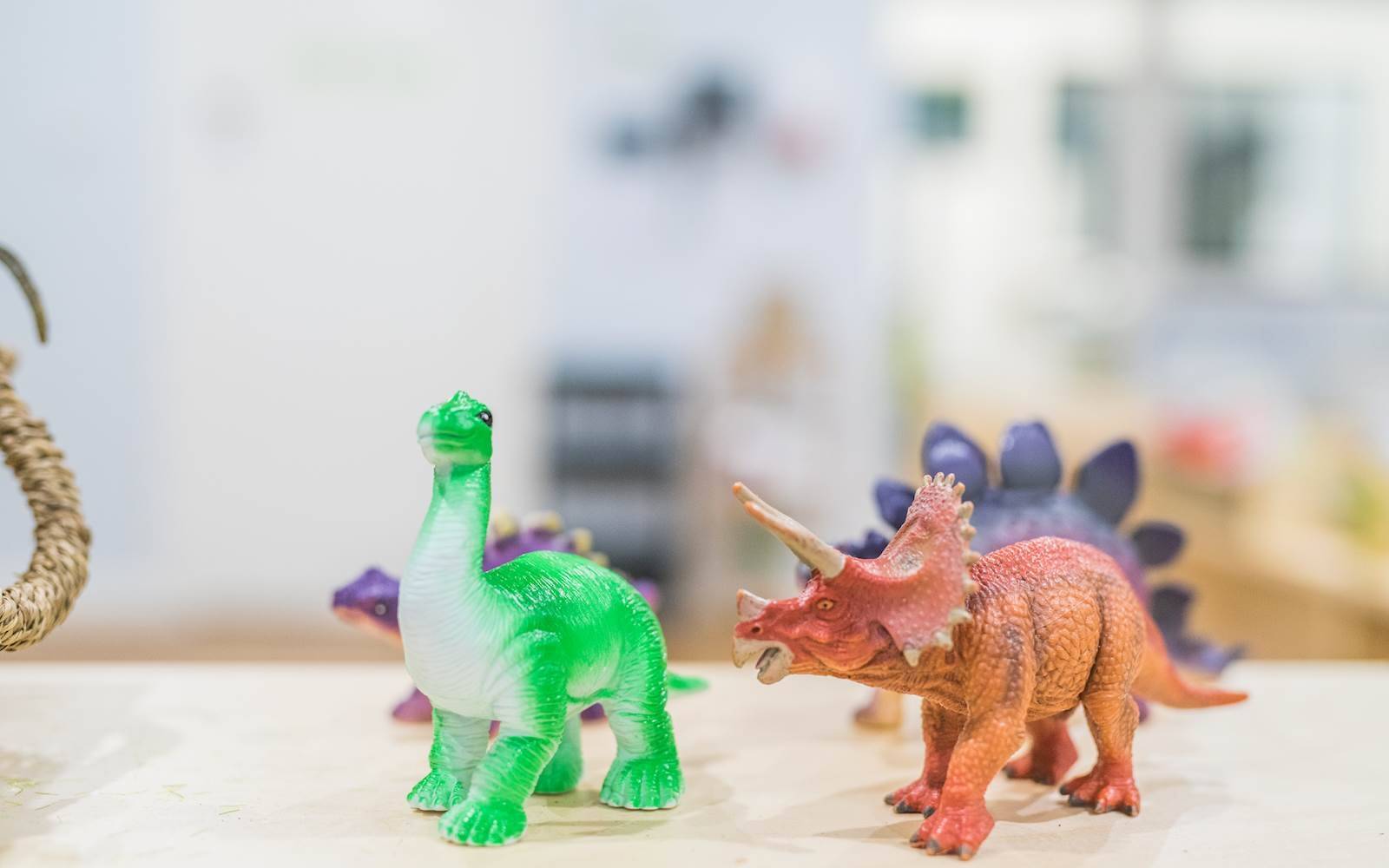 Little Zak's Academy Strathfield