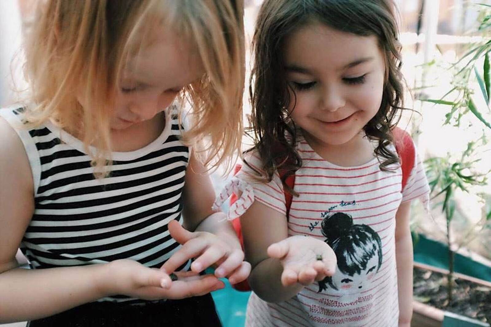 Rise Early Learning Camperdown