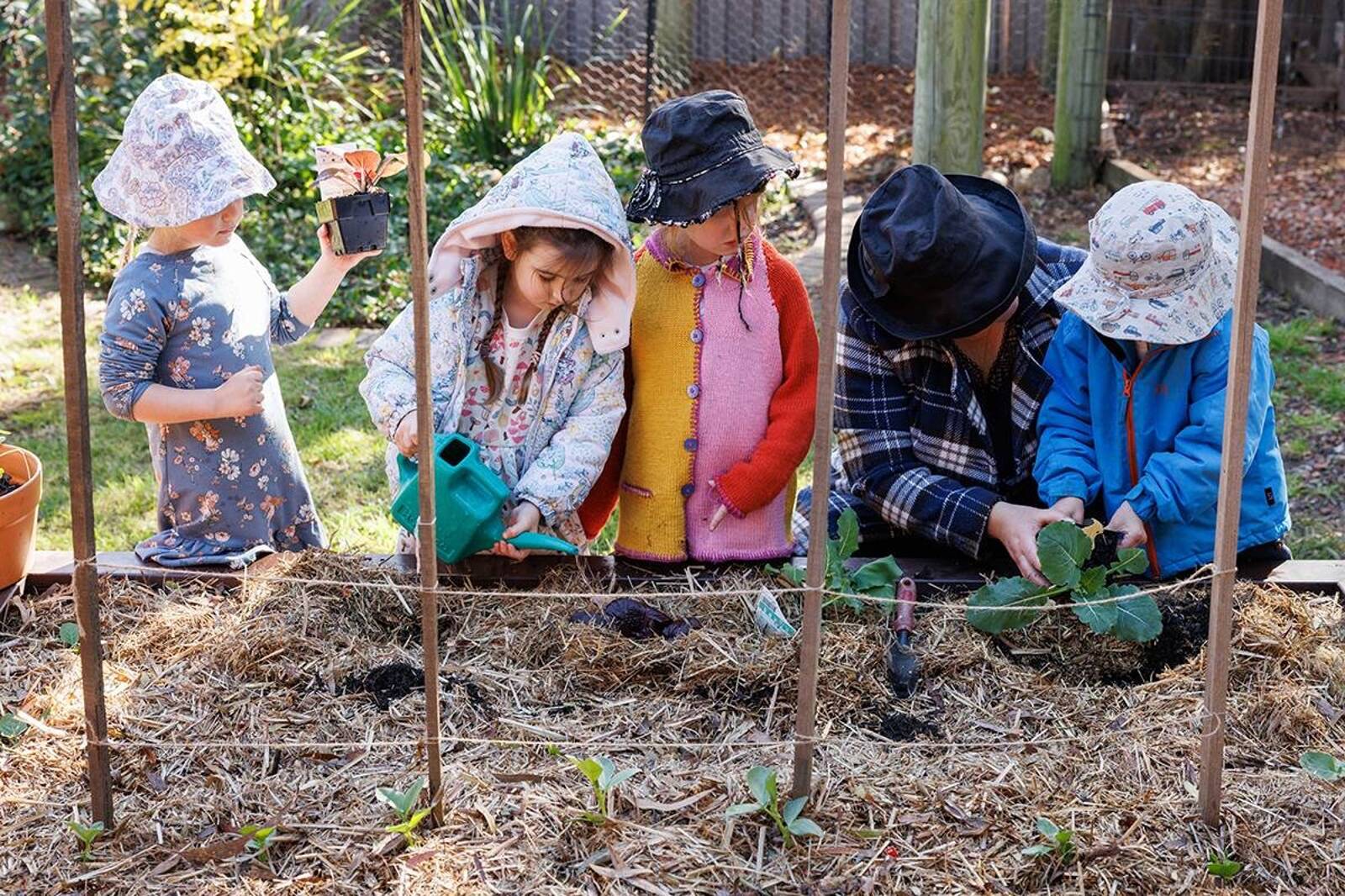 Jenny Wren Early Learning by Busy Bees