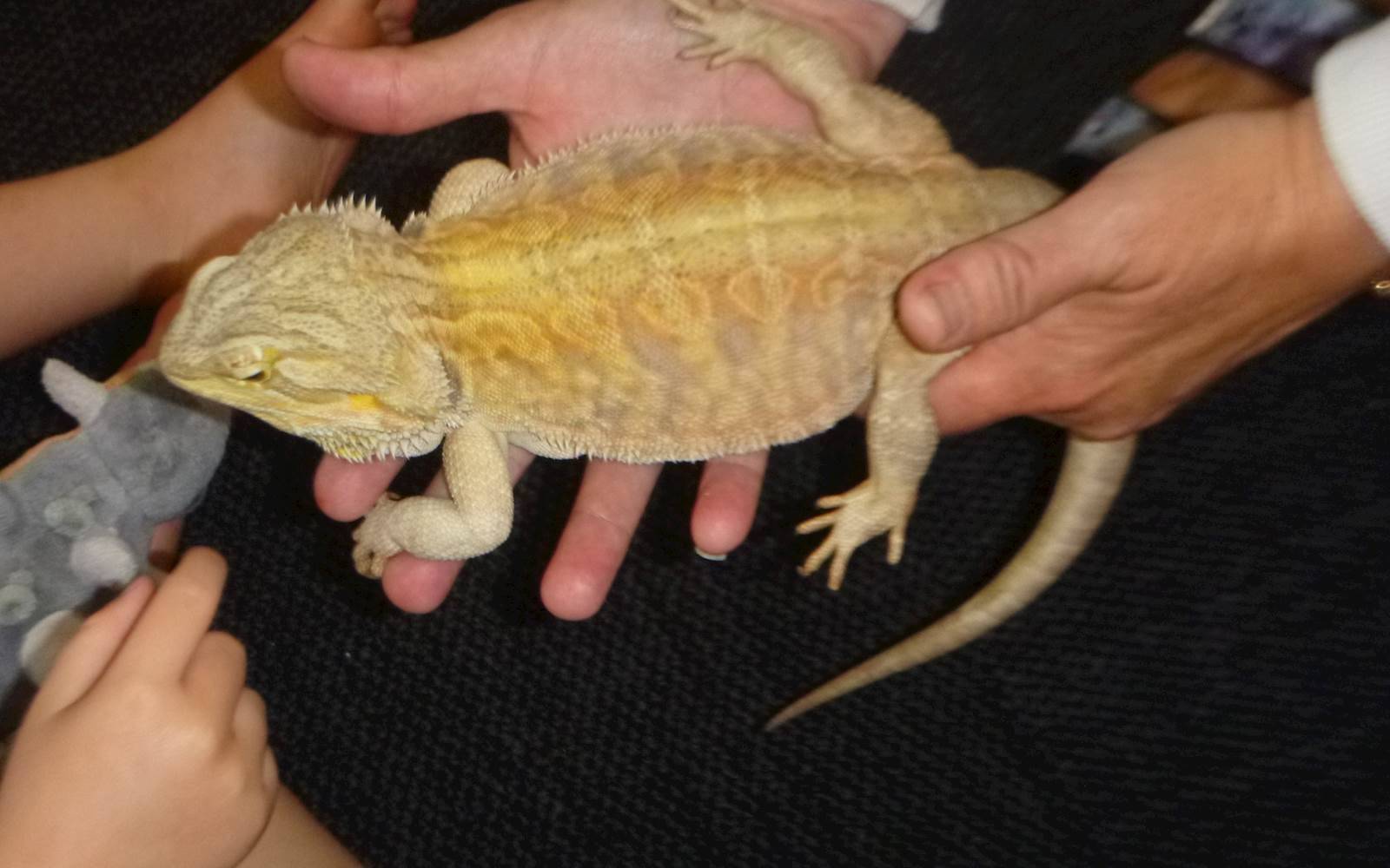 St Joseph's Catholic Kindergarten, Bundaberg
