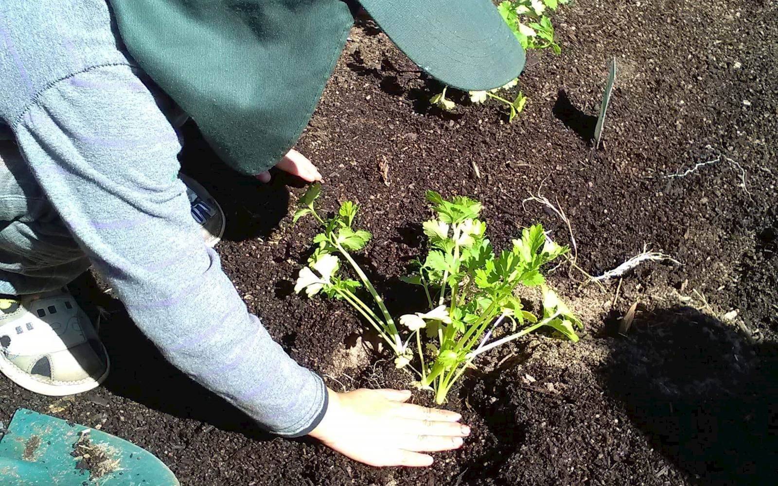 Early Steps Child Care Centre