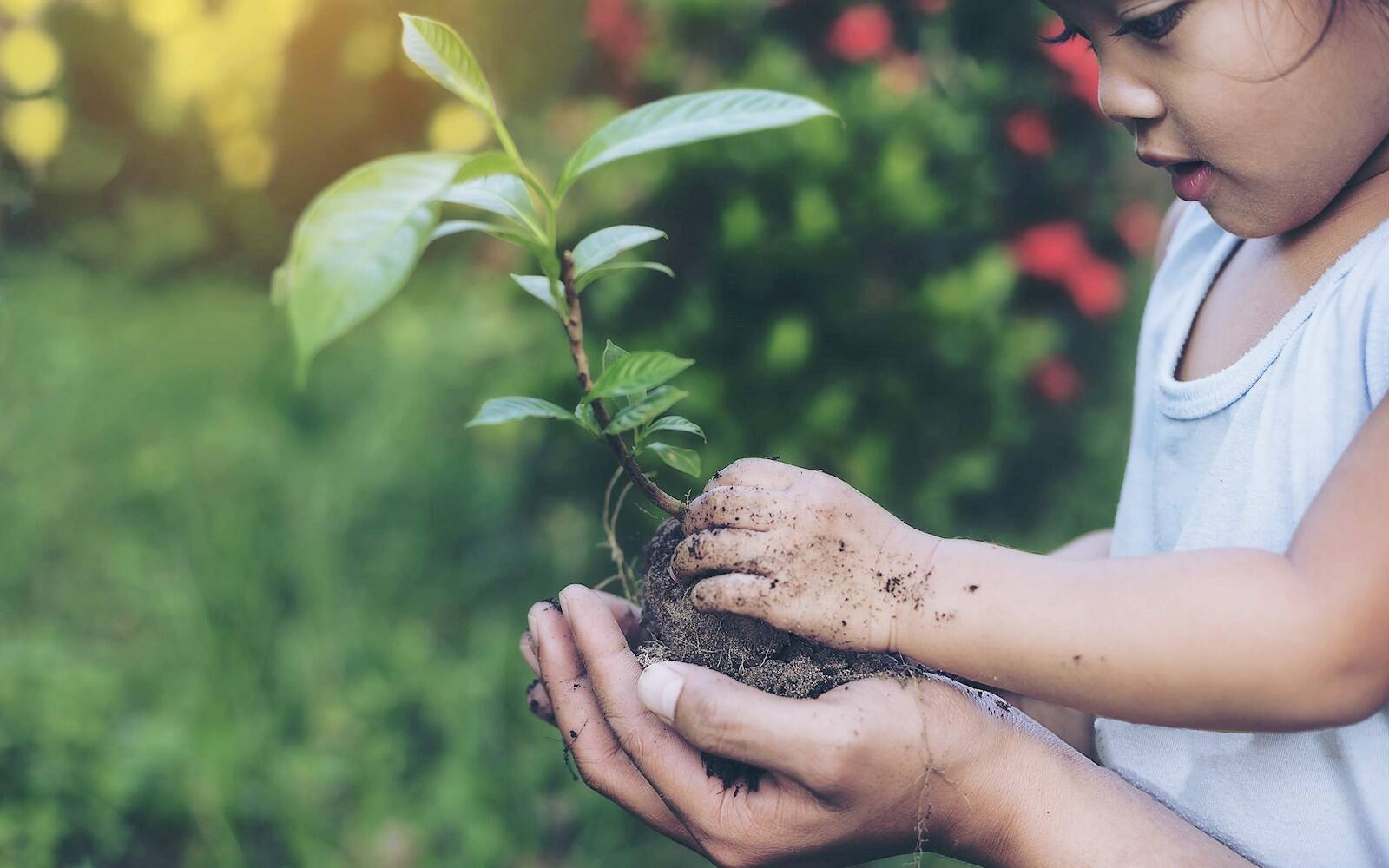 Bower Education - Cranley House Nursery School and ELC