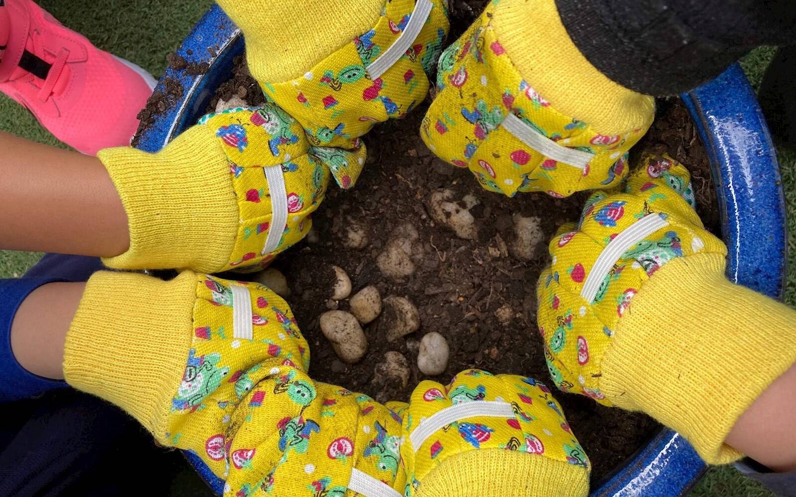 Carlingford Kindergarten