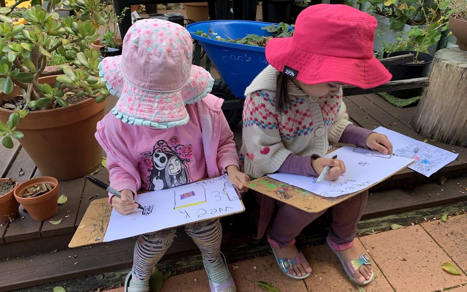 Carlingford Kindergarten