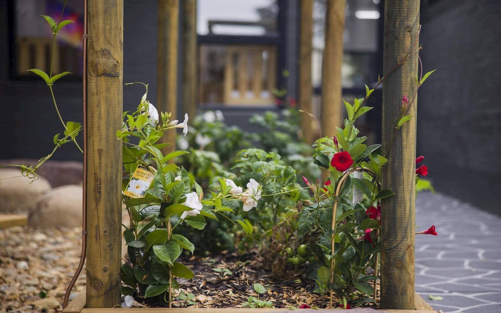 Genius Childcare - Hamilton Hill