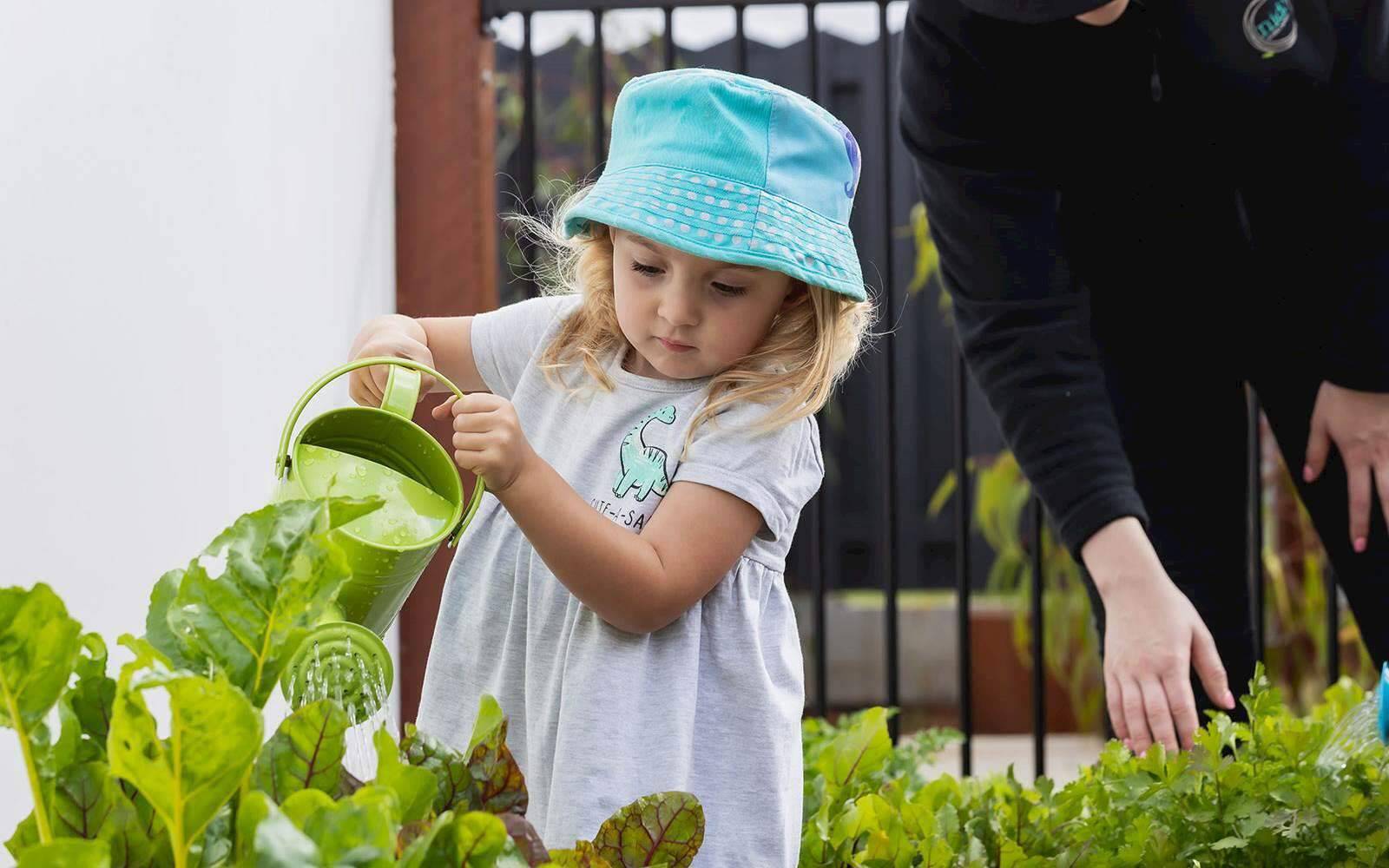 Busy Bees at Baldivis South