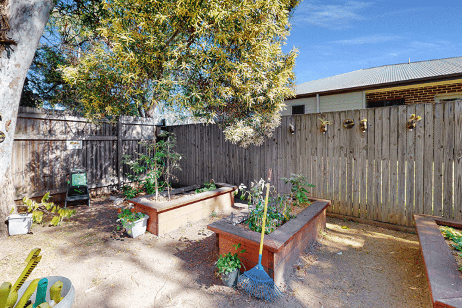 Busy Bees at Fraser Coast