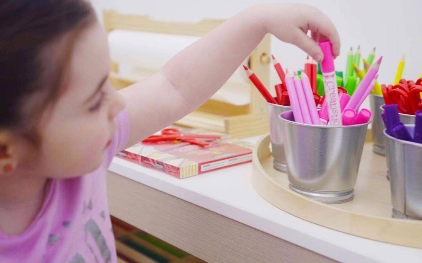 Busy Bees at Cannington