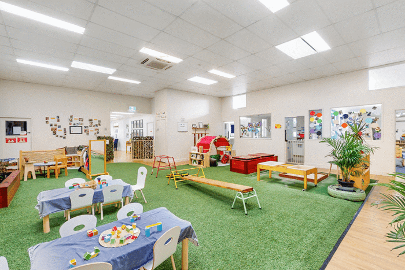 Busy Bees at Lane Cove