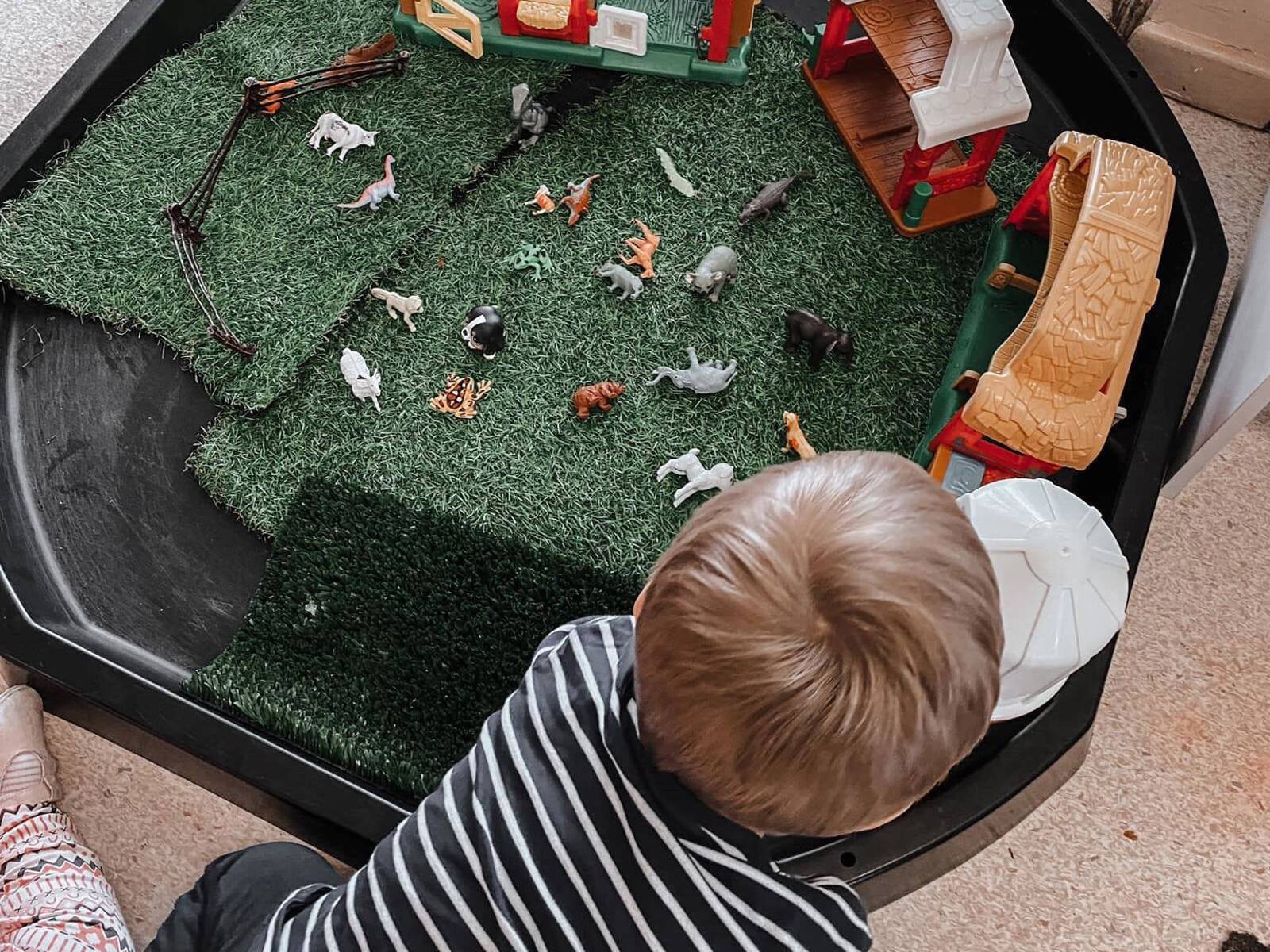 The Little Learning Tree Lithgow