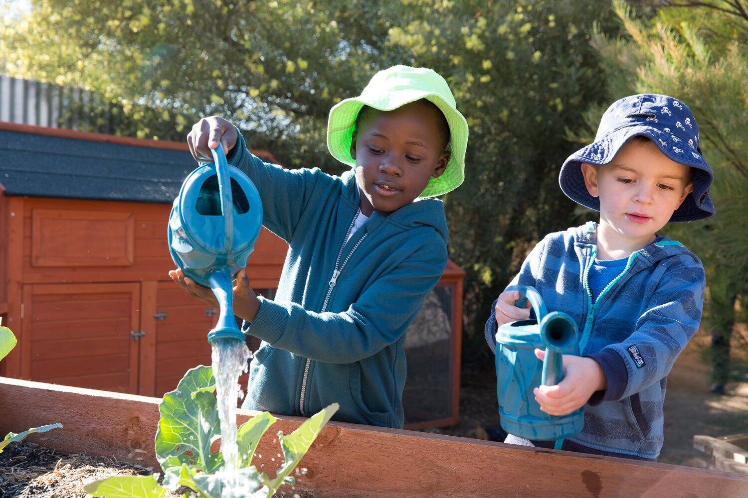 Goodstart Early Learning Wagga Wagga - Lake Albert Road