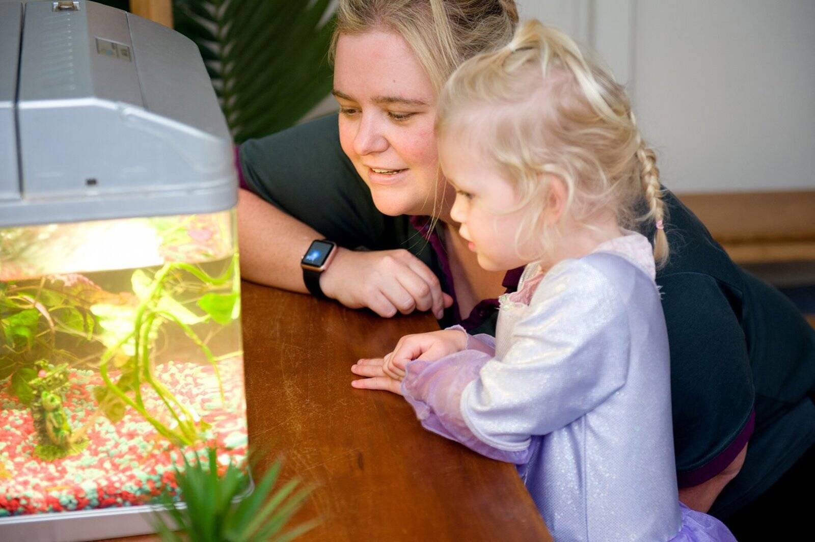 Goodstart Early Learning Nelson Bay