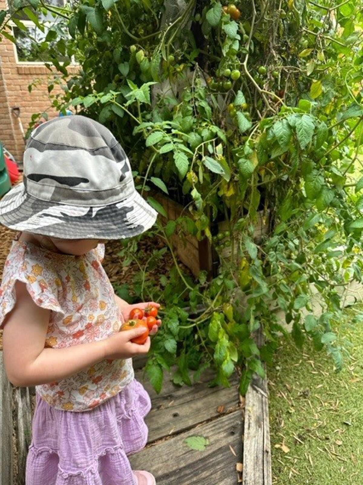 Louise's Family Day Care