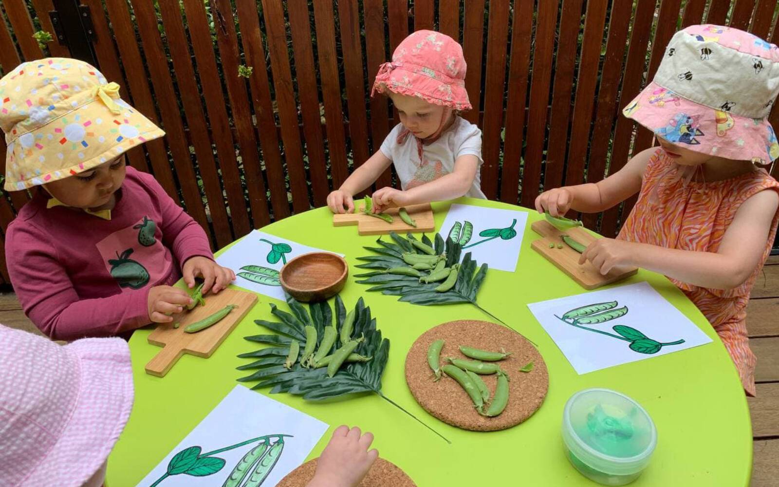 Bunny Land Family Day Care