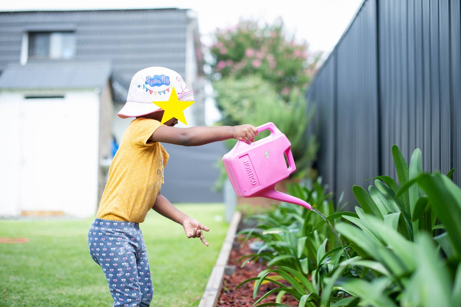 Sue's Family Day Care