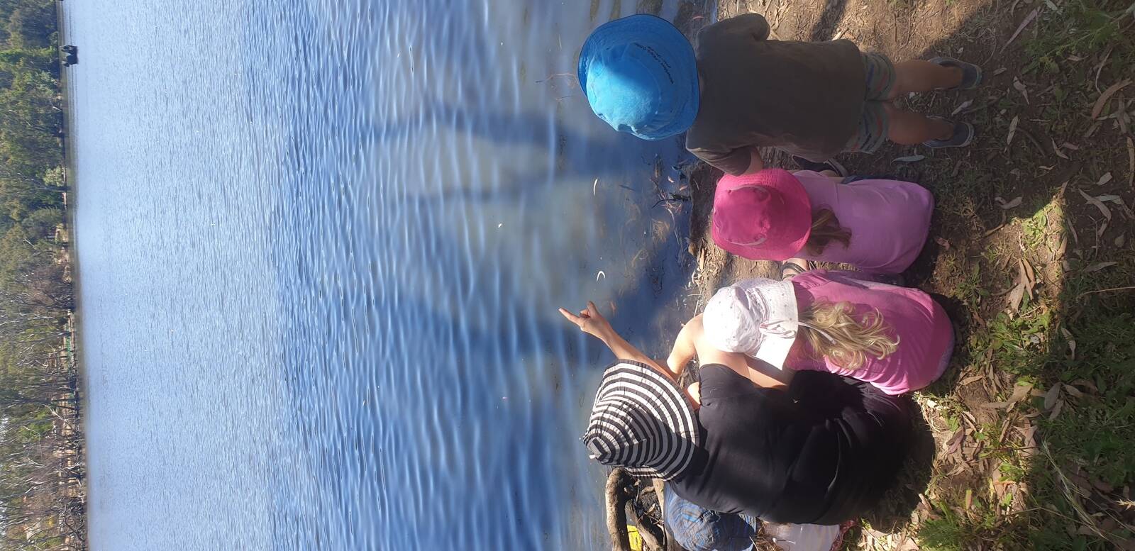 Nature Play DECD Family Day Care