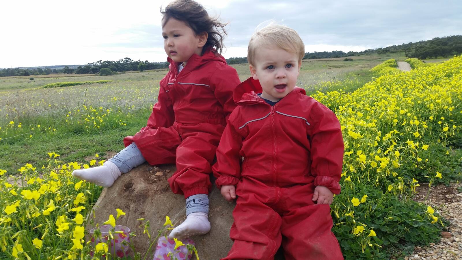 Nature Play DECD Family Day Care