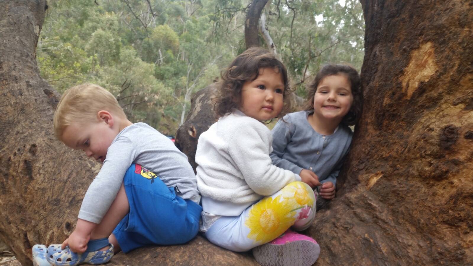 Nature Play DECD Family Day Care