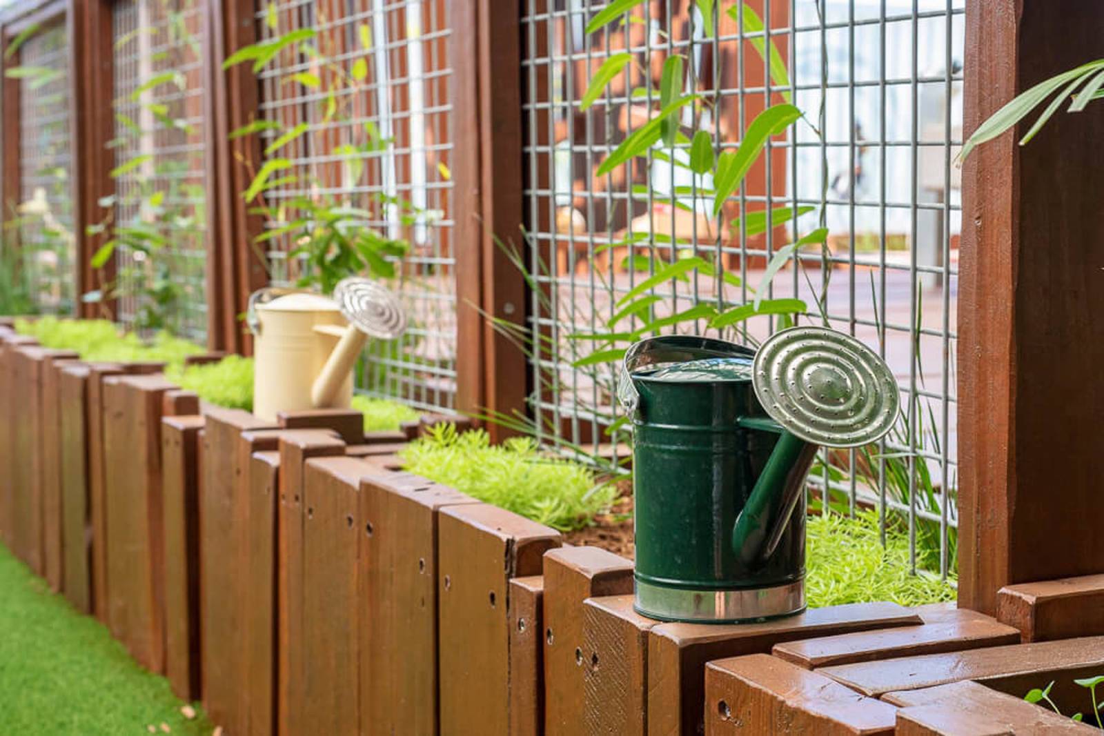 Nido Early School Belmont - Limited Vacancies!