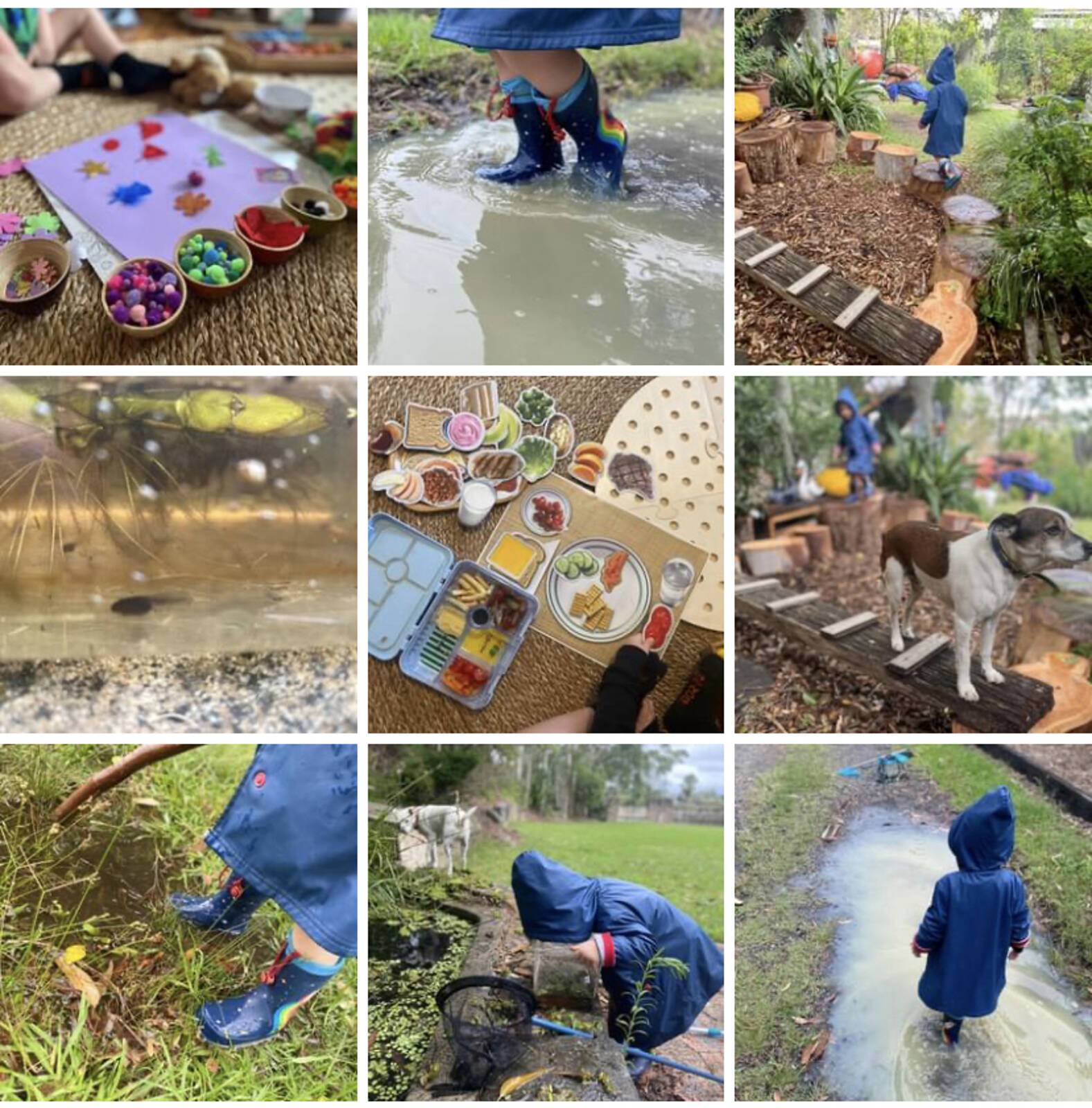 Magic Fronds TreeSchool