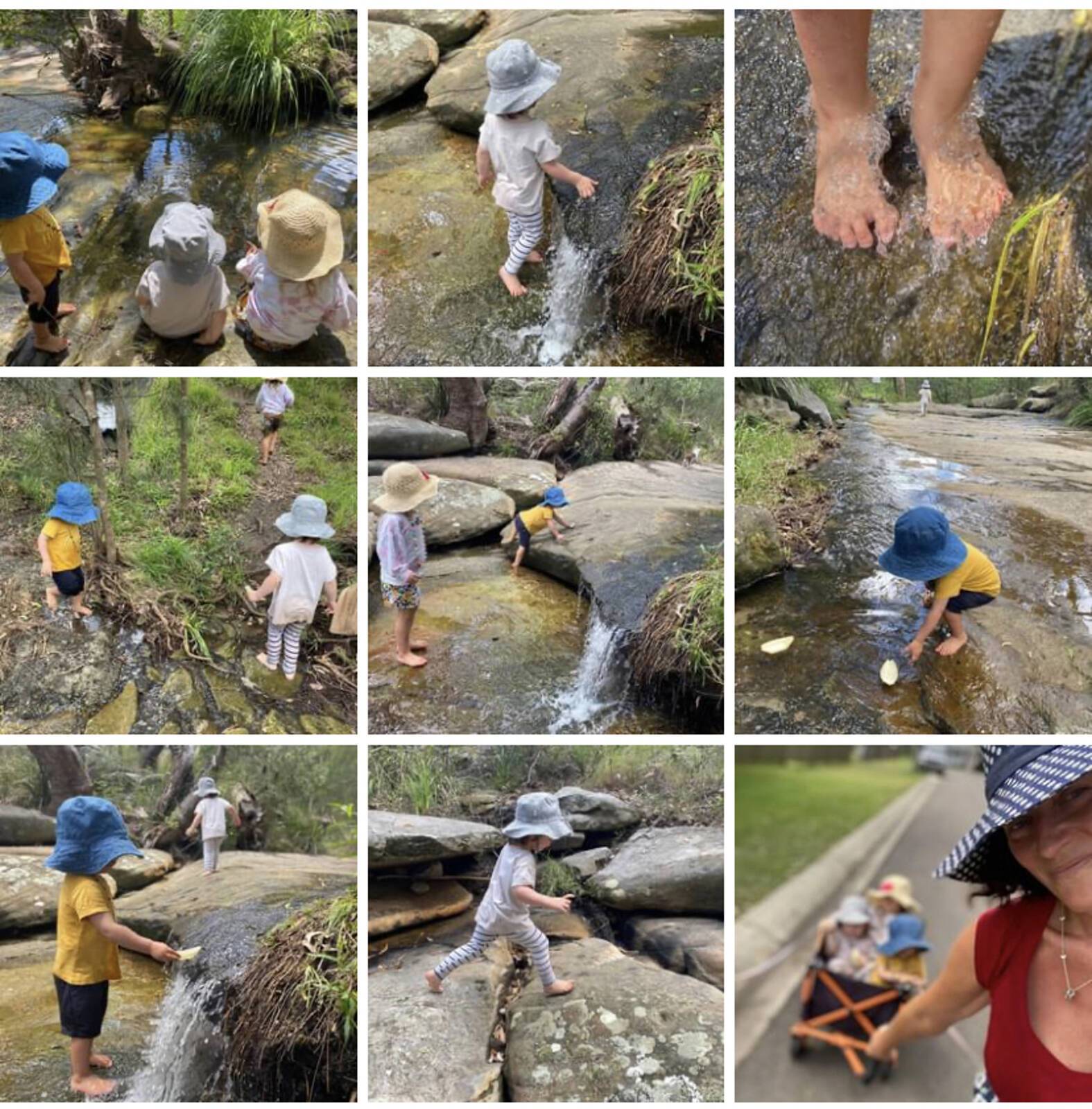 Magic Fronds TreeSchool