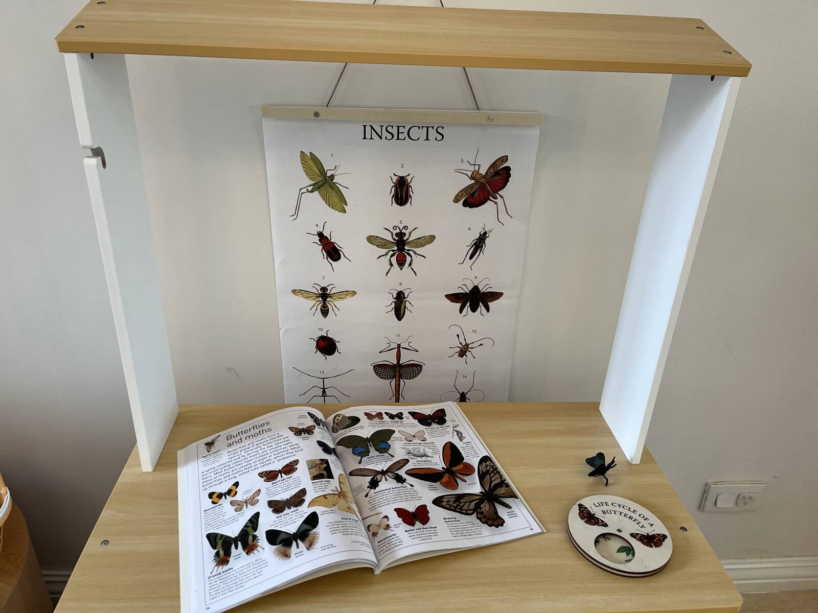 Kindy Lane North Shore