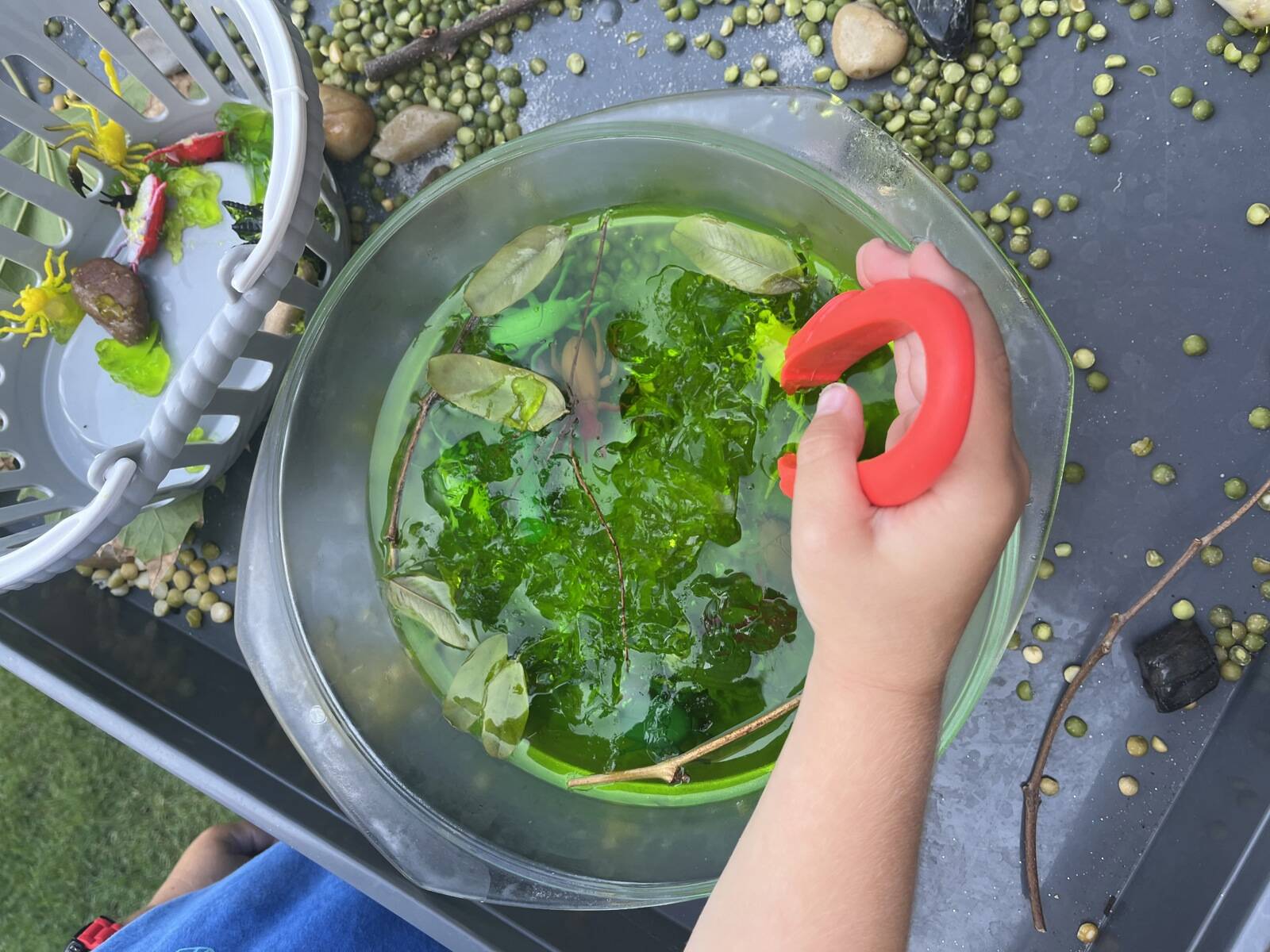 Kindy Lane North Shore