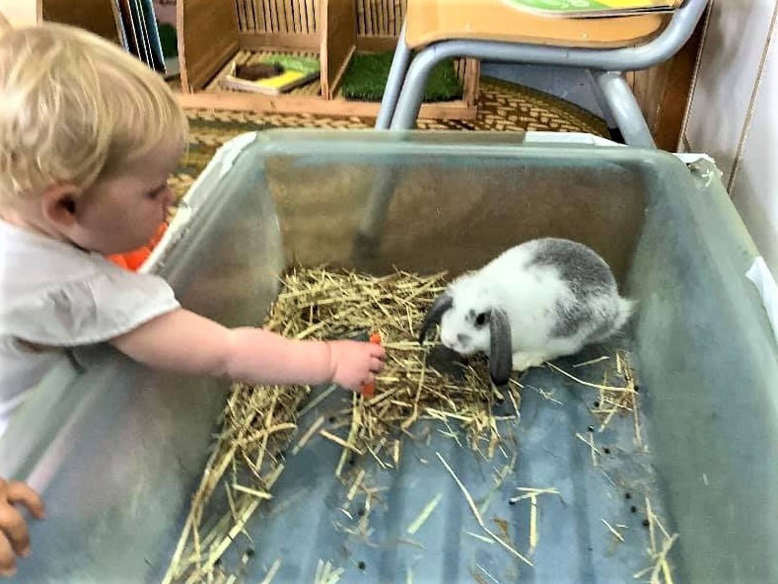 Goodstart Early Learning Newtown