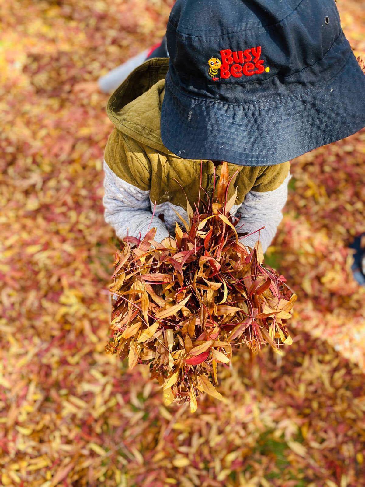 Busy Bees at The Park